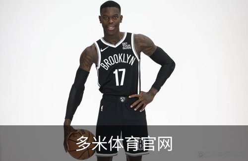 多米体育官网简介